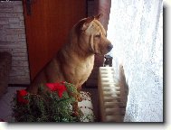 Kouk�n� z okna to je moje!