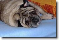 Vyru�en� ze sp�nku