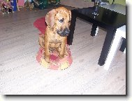 V�dy� j� nejsem tak velk� �t���tko