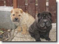 na�e �t���tka