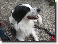 Bonie nebo-li neviditeln�