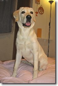 Aisha 6 m�s�c�