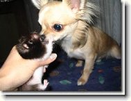 kdy u� pochop� kdo je tady p�nem!!!