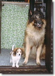 M�j milovan� Cliff (Dino Rudolfovsk� sk�la CZ) s Maxem