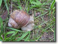 Vystr� �ne�ku, vystr� r��ky