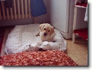 nevyd�vej ty zvuky....boj�m se!!! Riki