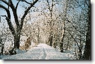 Ladovsk� zima