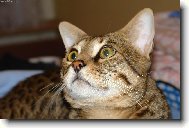 Tamhle n�co let�