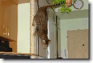 Dolu je to nejleh��