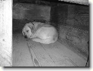 Spink�m...Tak dobrou