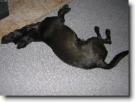 Pohodi�ka,ale ta hlava se mi tam n�jak nevejde