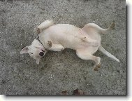 podrbejm�....na b��ku