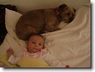 Pro� m� po��d hl�d�?