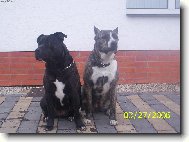 v pr�ci na hl�dce