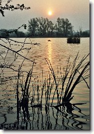 Rybn�k kotvice