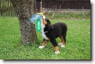 Ben a jeho hra�ka :D