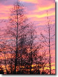 b��zy v plamenech