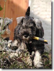 Moment,jen si to zap�u