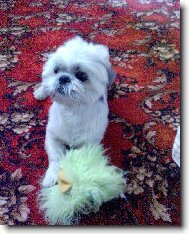 Na�e miminko Ed�nek