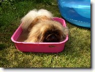 b�je�n� koupel