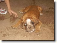 Hrajeme si na krte�ka...