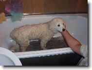 u� je v�m l�p?