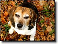 sv�t� mi do o��.. :-)