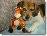 tak tuhle kost dneska zbal�m...