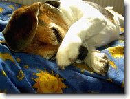 jej to tak sv�d�