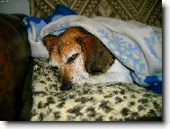 a te� m� nechte sp�t