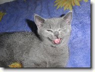 My�ov� t�este se!Cha cha ch�������