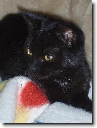 tak to je n� mazel....