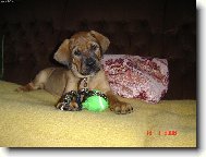 Teprve se rozhl��m m�m 2.m�s.