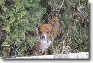 "Cht�l bych taky sout�it.."