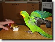 Mat�skovo momentka