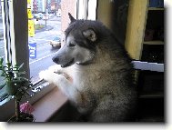 Tam je v�c�!!!!!!