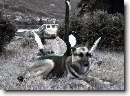 Hl�da�ka polab�