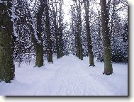 Pr�honick� park v zim�