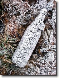 Zimn� z�ti��