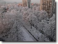 Prvn� r�no v roce