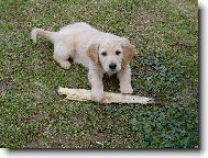 Ten klacek ti ned�m!