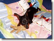 nejkr�sn�j�� v�k