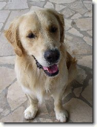 J� se fotit nebudu....