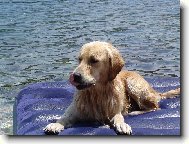 U mo�e je nejl�p.