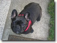 U� sed�m,tak mi dej n�jakou m�amku!