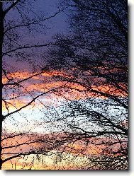 Den zhas�n�