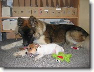 Ve dvou se to l�pe t�hne.