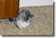 U� jsem �ist�?