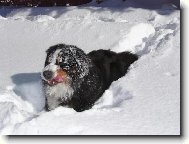 Miluju sn�ch!!!!!!!!!