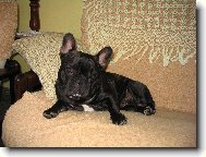 Nen� nad dom�c� pohodu :-)